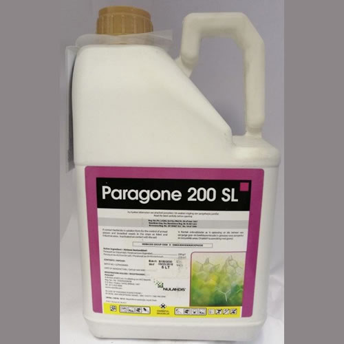 PARAGONE-200-SL-5LTR.jpg