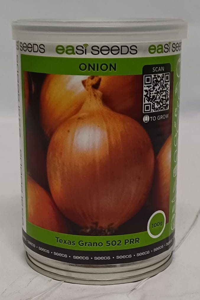 SEED-ONION-TEXAS-GRANO.jpeg