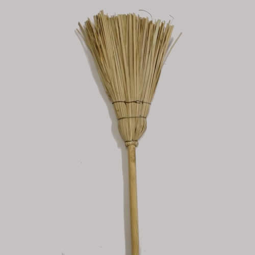 broom-witch-type-grass.jpg