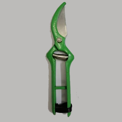 pruner-sonneblom-green.jpg