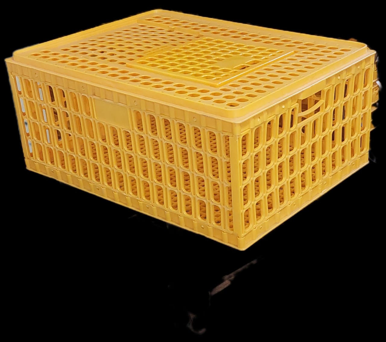 CHICKEN TRANSPORT