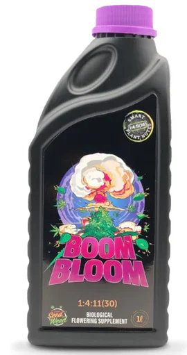 boom bloom