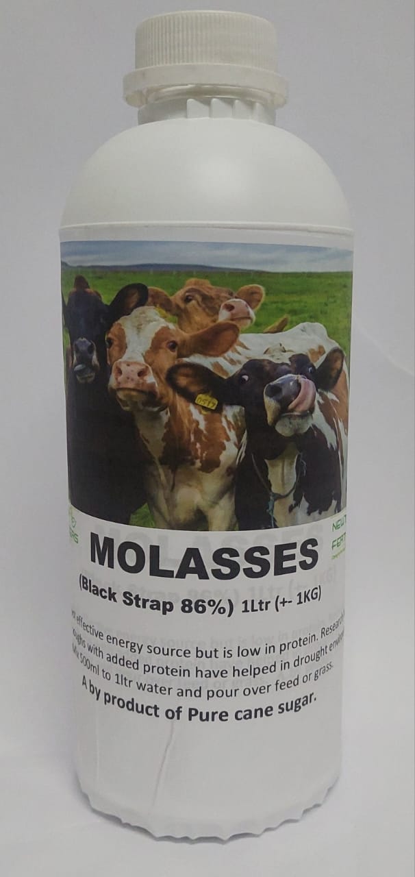 molasses